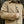 La veste « Besogne Belleville » velours beige